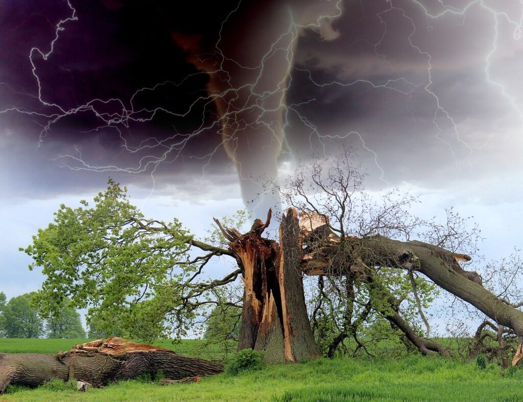 tornado, storm, tree branch