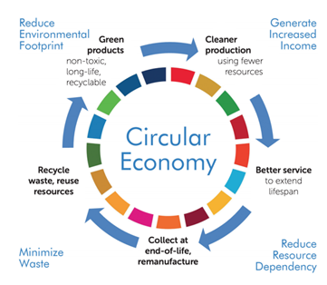 Sustainability And Circular Economy | Article