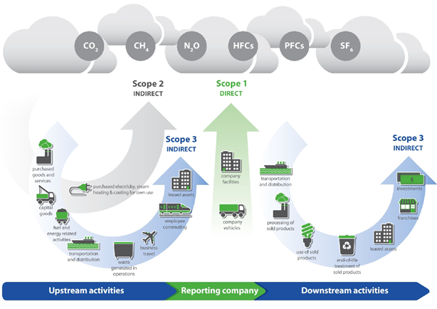 Carbon Footprint | Article