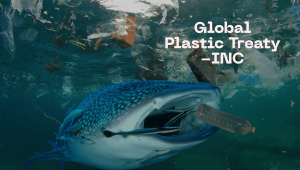 Global Plastic Treaty